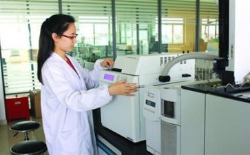 市质量工作总结参考5篇