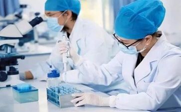 抓质量工作总结模板7篇