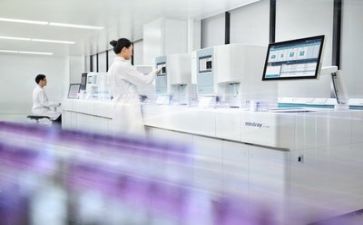 质量处工作计划推荐6篇