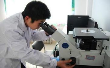 质量月活动的总结优秀6篇