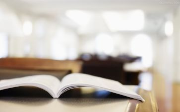 初中政治学科的工作总结8篇