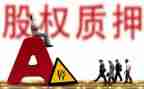 借款质押合同模板6篇