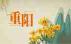 关于重阳节活动总结8篇