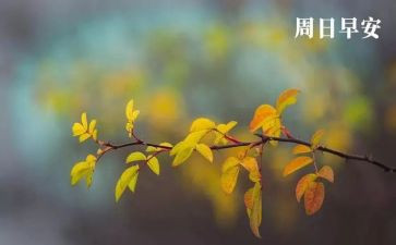 关于周末作文7篇