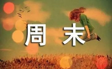 我的周末作文500字5篇