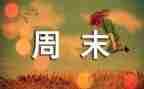 我的周末作文500字5篇