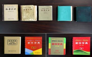 我的字典作文5篇
