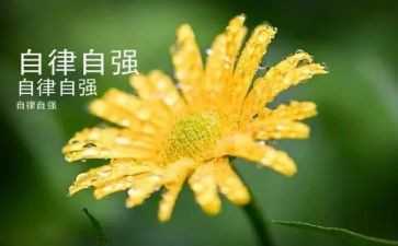 自强少年演讲稿8篇