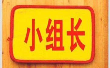 政治组长工作计划8篇