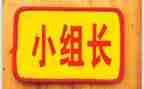 双组长工作计划精选5篇