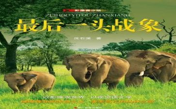 最后一头战象的心得体会7篇