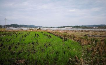 商铺租赁模板合同最新5篇