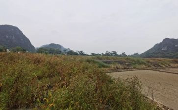 房屋正规租赁合同6篇