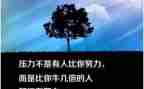 我的座右铭450作文5篇